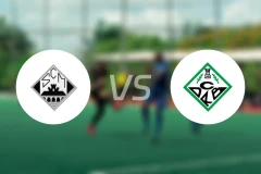 米兰迪拉vs里贝拉比分预测【2026/02/15】