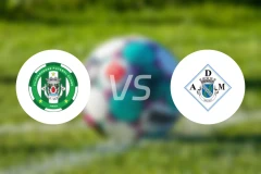 维拉维登斯vs马希高比分预测【2025/12/07】