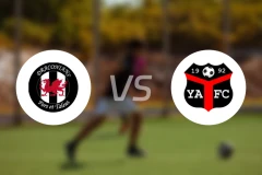 卡迪夫龙人vs伊尼希尔比恩斯比分预测【2026/01/31】