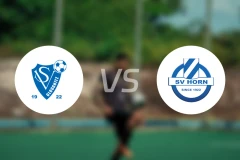 罗格尼兹vsSV霍恩比分预测【2026/03/28】