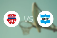 高尔斯vs科尔顿比分预测【2026/01/25】