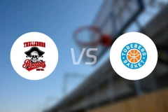 特雷勒堡vs特瑞堡比分预测【2025/11/22】