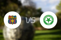 普雷迪尼vs米特比分预测【2026/03/07】