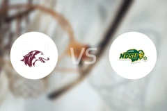 南伊利诺大学vs北达科他州立大学比分预测【2025/11/18】