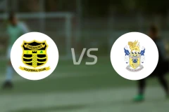 柴斯罕特vs艾维利比分预测【2025/12/06】