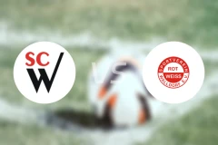 沃尔瓦尔德vs沃尔多夫比分预测【2026/03/28】