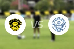 舍克斯纳vsFC维尔比分预测【2026/04/12】