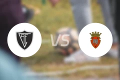 维塞乌vs佩纳菲尔比分预测【2025/11/29】