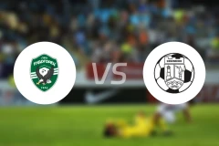 卢多戈雷茨B队vsFC塞弗列沃比分预测【2026/02/28】