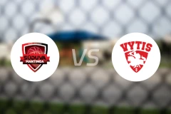 苏度瓦曼廷加vs维迪斯比分预测【2026/01/31】