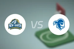 纽黑文大学vs西顿霍尔大学比分预测【2025/11/19】