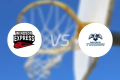 温莎快车vs蒙特利尔苔原比分预测【2026/01/31】