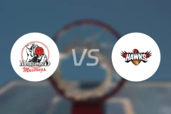 梅特兰野马vs伊拉瓦拉沃拉塔鹰比分预测【2026/03/28】