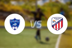 釜山运输vs始兴市民比分预测【2026/03/28】