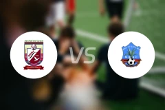 哈迪亚霍萨纳vs沃莱塔迪查比分预测【2025/12/24】