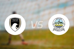 维斯顿vs多佛比分预测【2025/11/22】