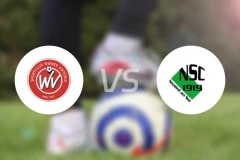 维也纳维多利亚vs纽锡德尔比分预测【2025/11/22】