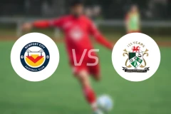 纽波特城vs艾伯里斯特夫比分预测【2026/01/31】