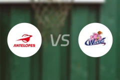 丰田羚羊女篮vs爱信飞翼女篮比分预测【2026/01/24】