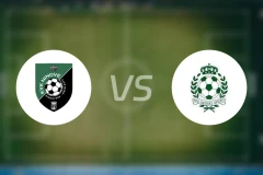 尼诺维vs迪塞尔比分预测【2026/01/25】