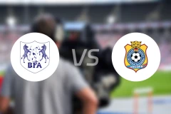 博茨瓦纳vs民主刚果比分预测【2025/12/31】