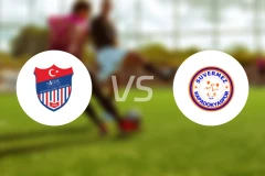 尼格德vs苏韦尔梅兹比分预测【2026/03/15】