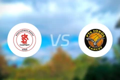 罗德茨vs索科尔万特比分预测【2025/12/21】