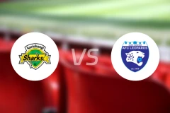 卡里班吉鲨鱼vs勒奥帕德比分预测【2024/10/20】