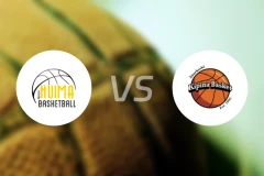 惠玛vs基皮纳比分预测【2026/02/19】