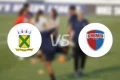 圣安德雷vs普丹迪比分预测【2026/02/15】