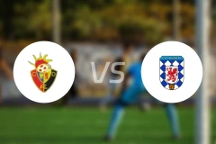 维格瓦尔特vs瓦尔特比分预测【2026/03/28】