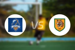 苏格兰FCvs猎人比分预测【2026/03/22】