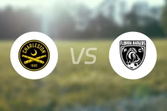 查尔斯顿电池vs佛罗里达獾队比分预测【2026/03/19】