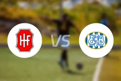 哈维德夫vs埃斯比约比分预测【2025/11/29】