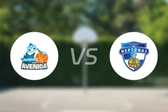 阿维尼达女篮vs海王星女篮比分预测【2025/11/27】