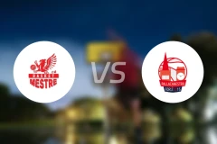 双子座梅斯特vs弗尔利比分预测【2026/01/11】