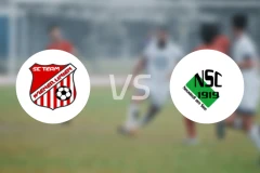 维也纳利尼恩vs纽锡德尔比分预测【2026/03/21】