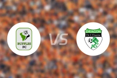 博尔古水牛vs德拉贡斯比分预测【2026/02/08】