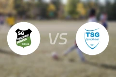 SG芬纳图普巴门诺尔vs斯罗可候沃比分预测【2026/04/19】