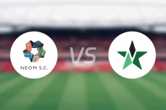 新未来城体育vs纳杰马体育比分预测【2025/12/26】