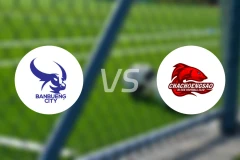 班邦城vs北柳高新比分预测【2025/11/15】