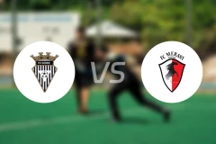 戈尼奥vs美拉尼比分预测【2025/11/21】