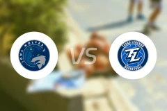 爱荷华狼队vs德克萨斯传奇比分预测【2026/03/21】