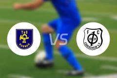 图斯霍诺vsFC埃德斯海姆比分预测【2024/09/05】