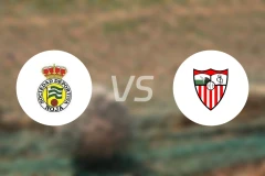 诺加vs塞莱阿比分预测【2025/11/23】