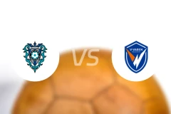 福冈黄蜂vs长崎成功丸比分预测【2026/04/11】