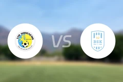 霍亨恩姆斯vs比史弗斯霍芬比分预测【2025/11/15】