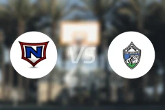 拿尔维克女篮vs哈马尔女篮比分预测【2025/11/05】