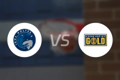 爱荷华狼队vs大急流城黄金比分预测【2025/11/14】