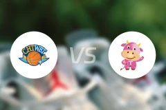 中华电信女篮vs台元纺织女篮比分预测【2026/01/03】